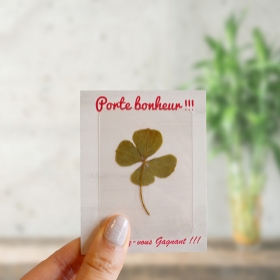 Advertising Plants - Carte Trèfle porte bonheur - 1