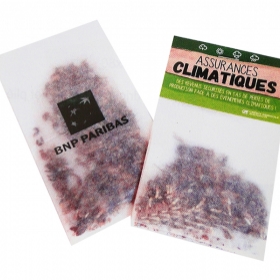 Sachet graine - Sachet Calque