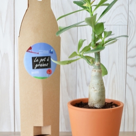 Plantes publicitaires - Plante en pot céramique aimanté - 3