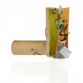 Plant d'arbre publicitaires - Le plant d'arbre en tube bois - Prestige - 1