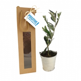 Plant d'arbre publicitaires - Plant d'arbre en sac kraft - Résineux - 1