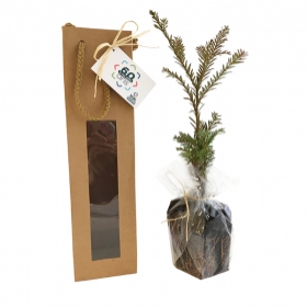 Advertising Tree plant - Plant d'arbre en sac kraft - Prestige - 0