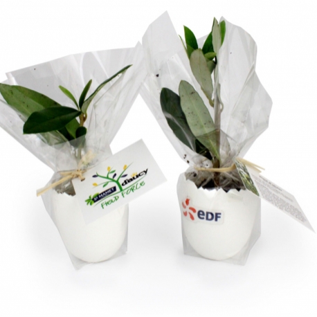 Advertising Planting kit - L'oeuf Mini Plant Arbre