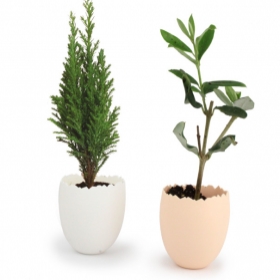 Advertising Planting kit - L'oeuf Mini Plant Arbre - 2