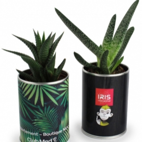 Kit de plantation publicitaires - Canette à plante - 1