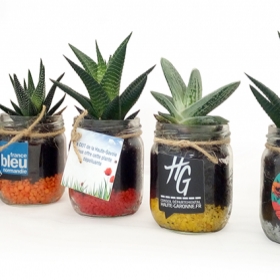 Advertising Plants - Plante en bocal - 5